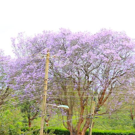 Gp Modern Homes- Kingo'Ngo Nyeri Dış mekan fotoğraf